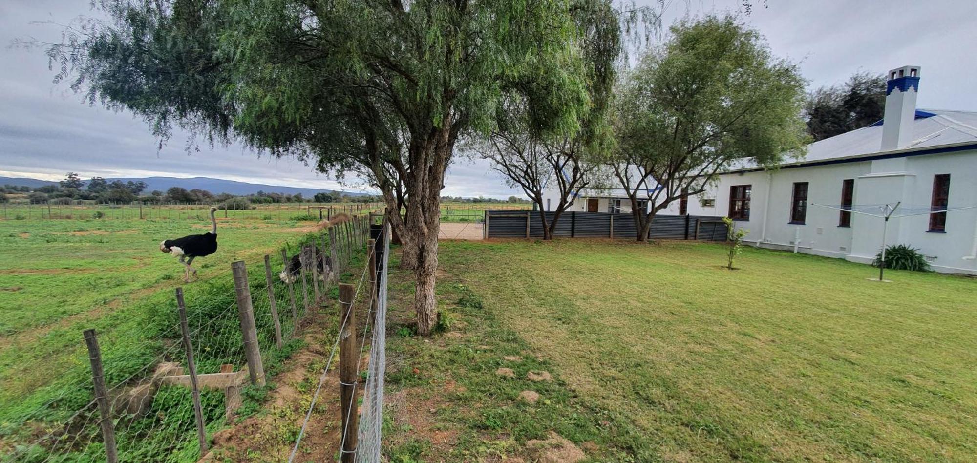 Karoo Leeu Self Catering Villa Oudtshoorn Exterior photo